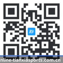 系统版 iOS 二维码